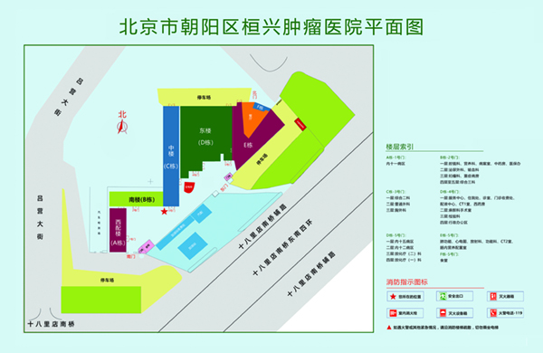 鸡巴操嫩逼精品性爱北京市朝阳区桓兴肿瘤医院平面图